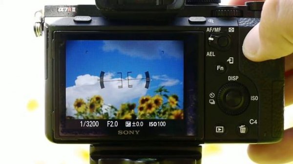 Techart LM-EA7: автофокусировка в режиме AF-S