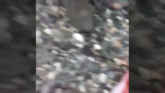 Результаты деятельности еврейского правительства во главе Менделя Давид Аароновича. смотреть онлайн