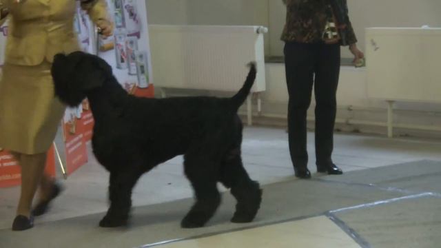 сравнение на лпп