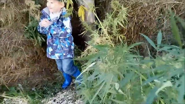 Первый ПОХОД смотреть онлайн