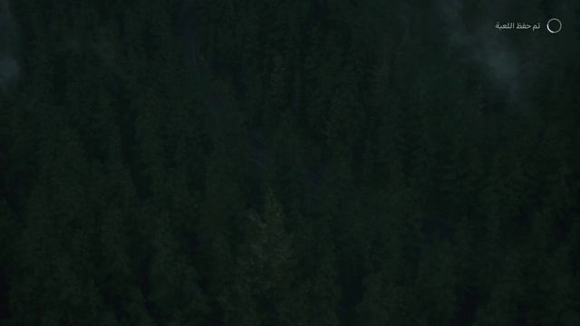 تعريب آلن ويك 2 | Alan Wake 2 смотреть онлайн