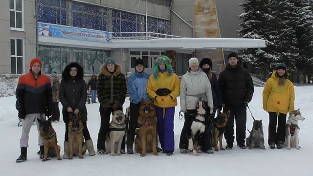 Новогодние катания на собачьих упряжках. Клуб "Кинолог" смотреть онлайн
