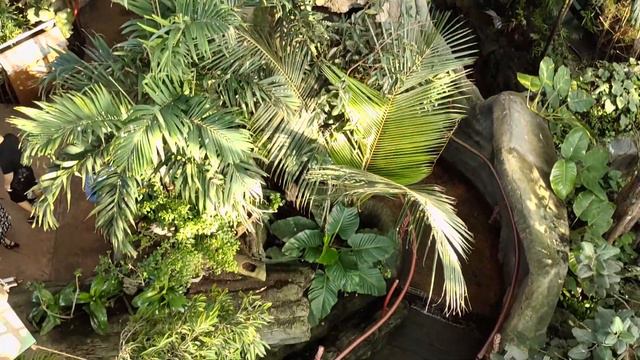 #ДУБАЙ/ ОТДЫХ С ДЕТЬМИ/ КУДА СХОДИТЬ И ЧТО ПОСМОТРЕТЬ?/ GREEN PLANET/ ПАРК ЗЕЛЕНАЯ ПЛАНЕТА В ДУБАЕ смотреть онлайн