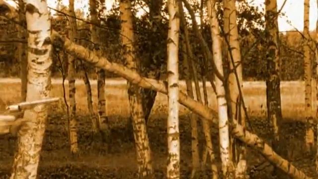 joe3.divx смотреть онлайн
