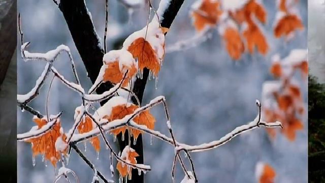 Video 2011-2-92 Autumn music/3 ENYA - "The First Of Autumn" (Replacement video) смотреть онлайн