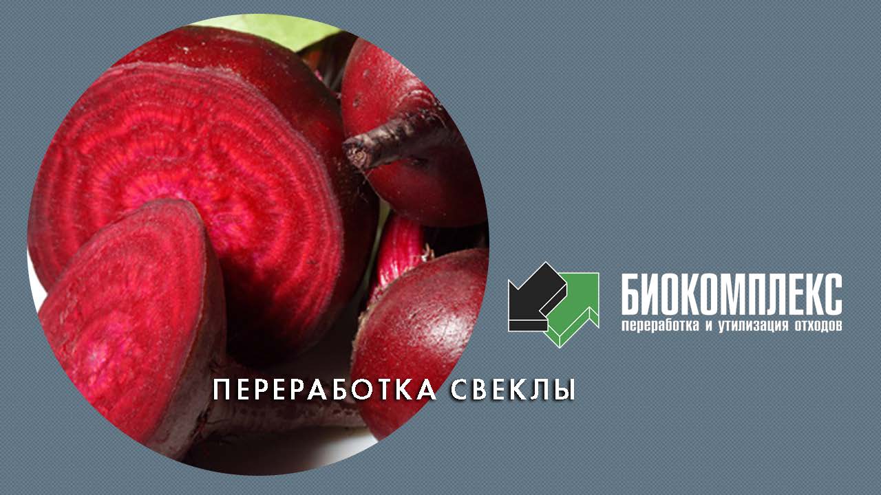 Переработка свеклы смотреть онлайн