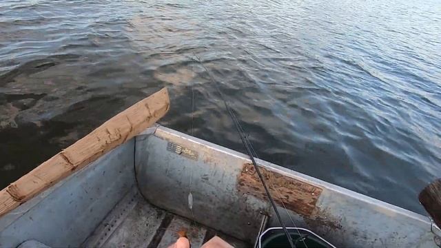 Щука на живца с лодки. 2020. Швеция. How to catch a pike using small live fish. Sweden. смотреть онлайн
