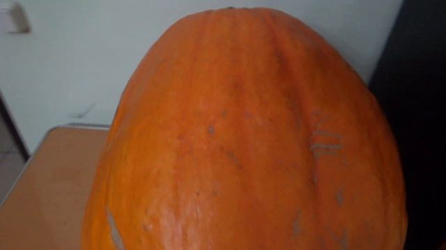 Выбираю ТЫКВЫ лучшие сорта. Самые сладкие и урожайные. Что я выращиваю в Подмосковье