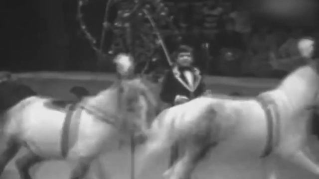 Высоцкий Диалог у телевизора смотреть онлайн