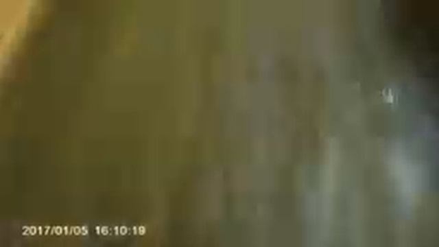 Дражные ковры и "Старательский мох" на Северном Кавказе смотреть онлайн