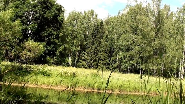 4 часа! Поющий пруд Пение соловья Звуки природы Лягушки в пруду смотреть онлайн