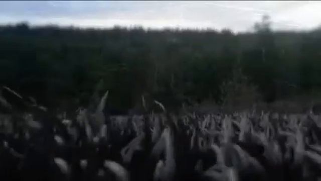 Ладожское озеро смотреть онлайн