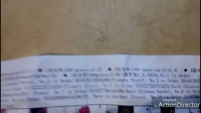 Аквариумные растения из семян с AliExpress. Часть 1 смотреть онлайн