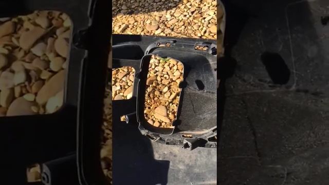 Вдохновение на колесах