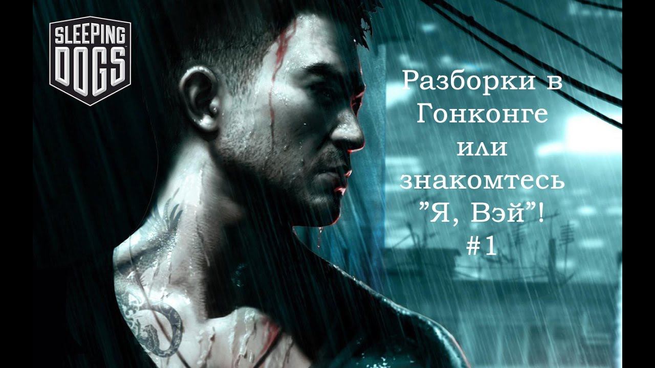 Sleeping Dogs #1