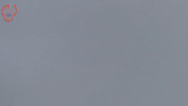 Голуби. 12.09.2022г. смотреть онлайн