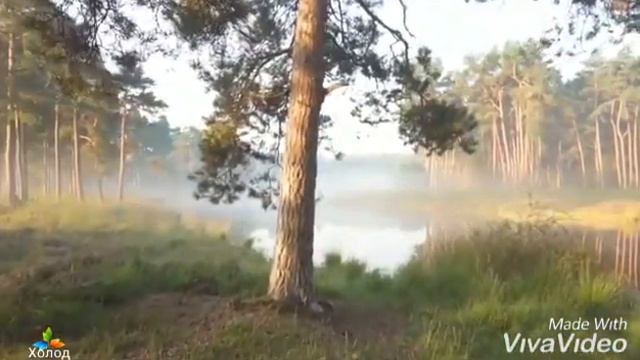 МИР ПРЕКРАСЕН, НЕСМОТРЯ НИ НА ЧТО. смотреть онлайн