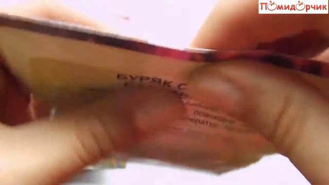 Семена Свеклы Столовой Багровый Шар - Помидорчик смотреть онлайн