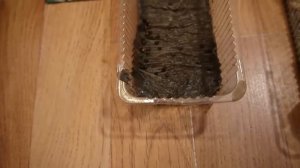 Грубая ошибка при проращивании семян  Кориандр  ( Кинза )