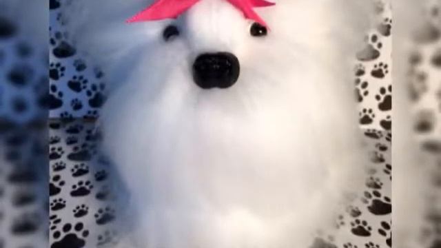 Amigurumi Dog🧶🐶