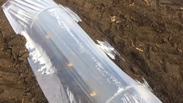 Мороз - 4 потушил все рассаду. Стоит садить рассаду под " термос" ? смотреть онлайн