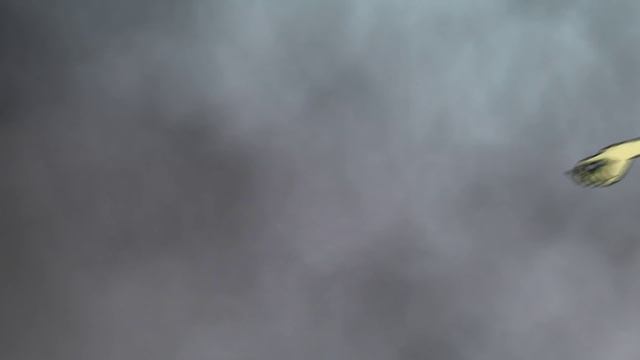 Pontification Promotional Game Trailer 2012 смотреть онлайн