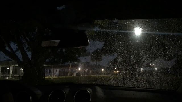 Rain On Car Windshield Under Trees - 2 Hours Rain Sounds for Sleep, Study & Meditation смотреть онлайн