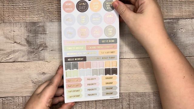 SPRING 2024 HAPPY PLANNER | Stickerbook Flip Thrus смотреть онлайн