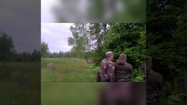 Охота на косулю в Беларуси 2021. Roe deer hunting in Belarus 2021. смотреть онлайн