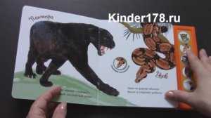 Детская музыкальная книга "Джунгли" Весёлые голоса. Азбукварик. Видео-обзор