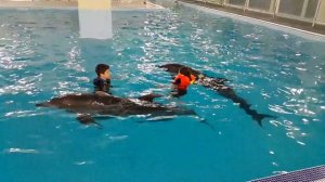 дельфинарий Москвариум плаванье с дельфинами