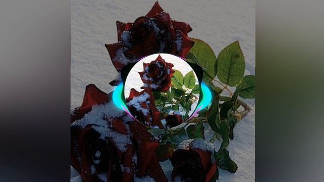 Вянут розы в снегу смотреть онлайн