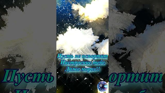 Хорошего зимнего дня short #shortsvideo #shots #cтих #открытка #пожелания #поздравления #shortvideo смотреть онлайн