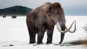 Мамонт (mamont)