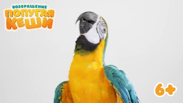 Возвращение попугая Кеши | Тизер | В кино с 31 октября смотреть онлайн