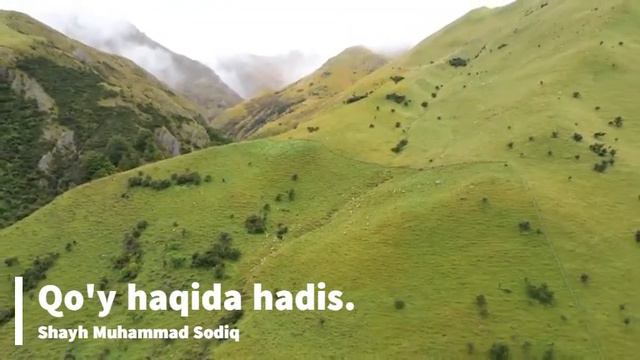 Qo'y Haqida Hadis,qo'yni It Bilan Farqi,qo'y Baraka.- Shayh Muhammad Sodiq Muhammad Yusuf