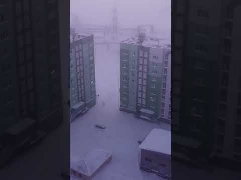 Есть кто живой? смотреть онлайн