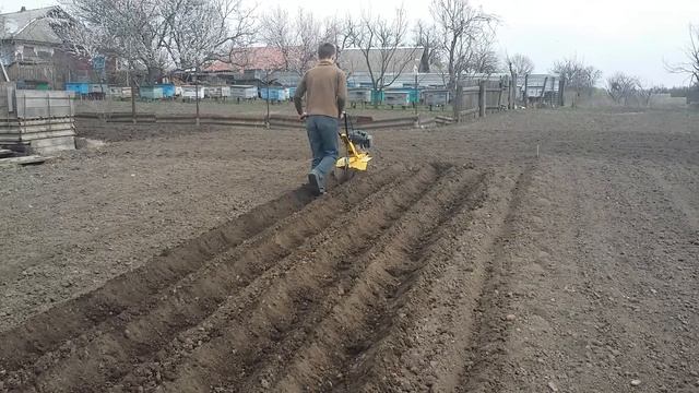 Мотокультиватор Sadko