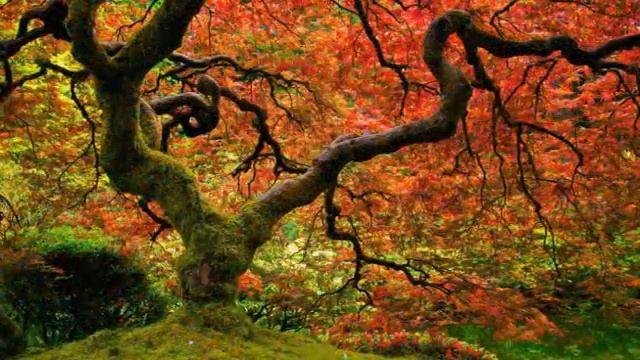 Остановитесь, любимые мои! О вашем отношении друг к другу.