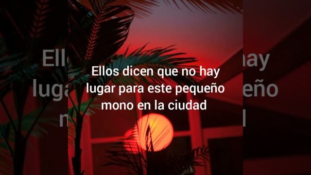 Bongo bong (Manu Chao) sub español смотреть онлайн