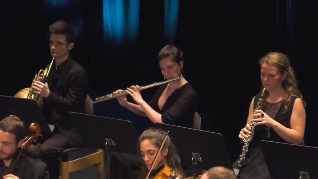 Joseph Haydn: Symphony in D major, no. 6 "Le Matin" 4. Allegro смотреть онлайн
