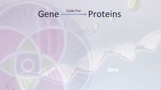 7 мая 2021 г. смотреть онлайн