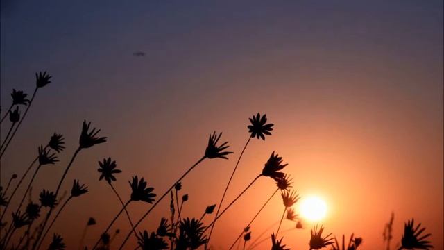 Мировой эфир это Ци.