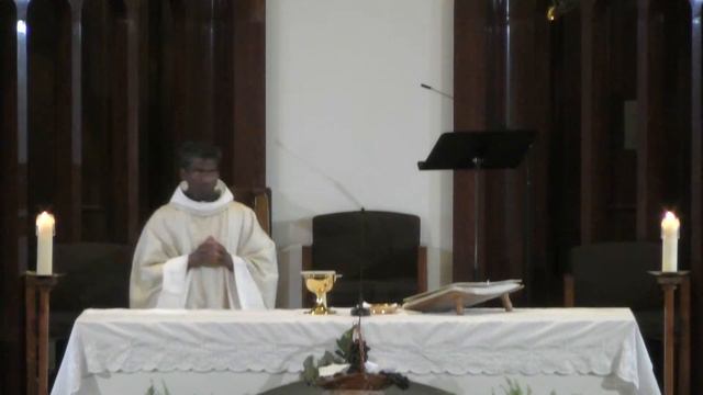 Messe du 31 mai 2023 dédiée aux personnes malades, en direct de l'Oratoire Saint-Joseph смотреть онлайн