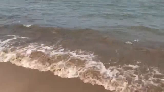 Море в Китае смотреть онлайн