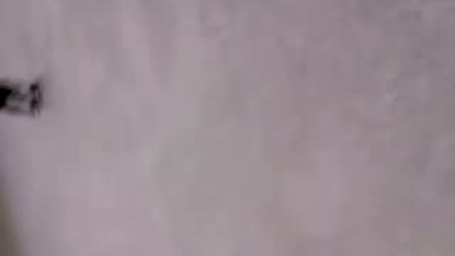 Julius �n ice смотреть онлайн
