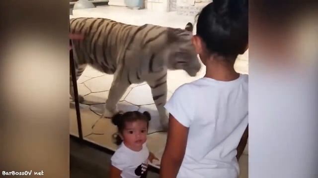 Самые Угарные Приколы! Забавные Дети и Смешные Животные. ТОПЧИК!.mp4 смотреть онлайн