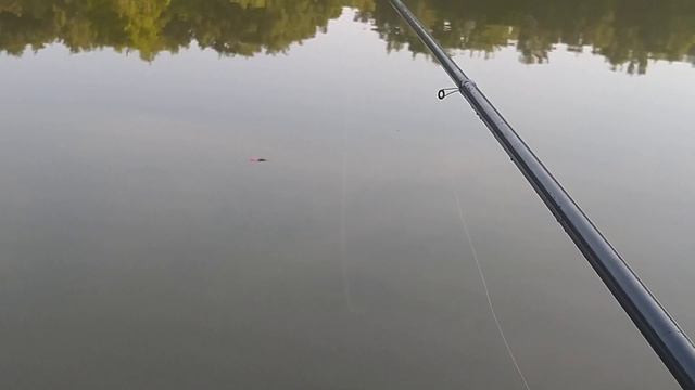 рыбалка 6.07.22 в Москве на Джамгаровском пруду смотреть онлайн