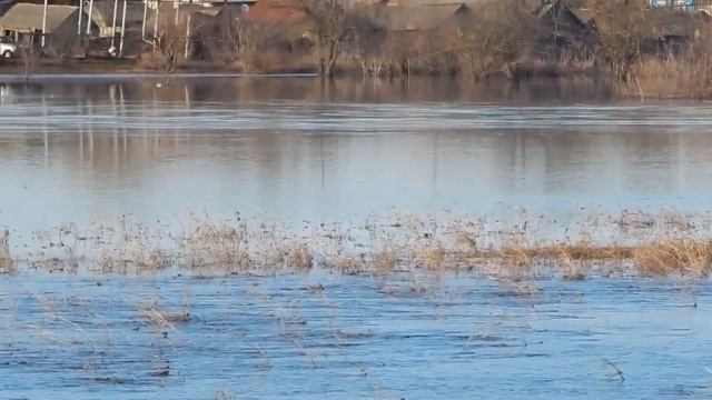 волгоградская область с мачеха паводок 2я волна смотреть онлайн