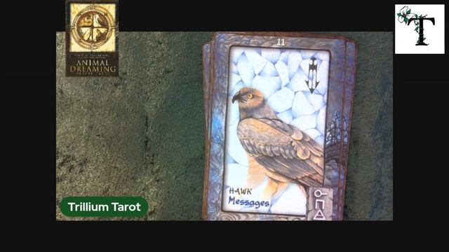 Animal Dreaming Oracle смотреть онлайн